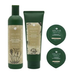 Cặp dầu gội xả gừng hà thủ ô kích mọc tóc Weilaiya Zingiber Officinale Juice Hair Shampoo